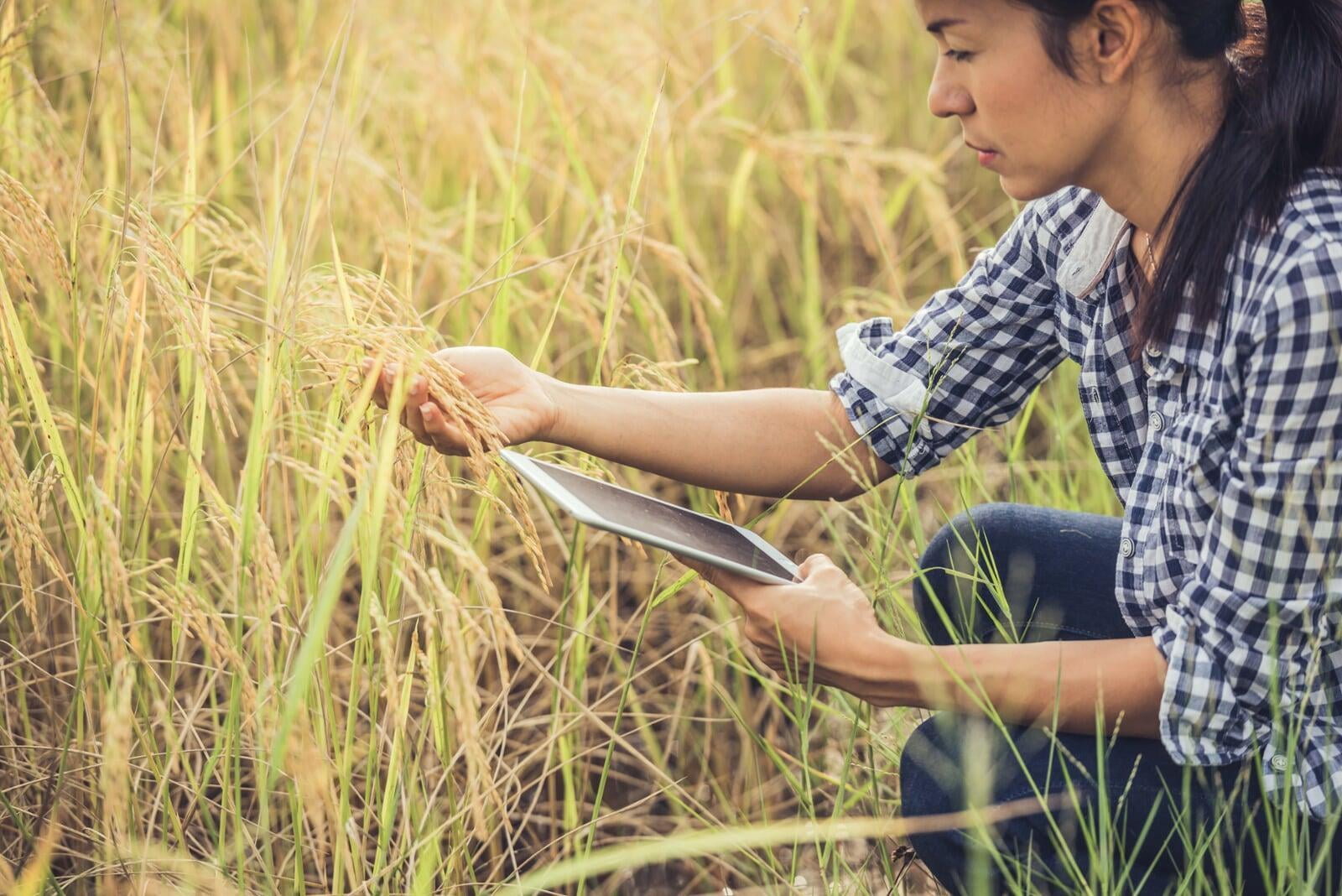 Innovación en el sector agropecuario - ¿Es una cuestión generacional?